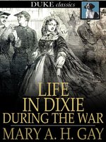 Life in Dixie during the War